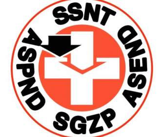 Ssnt