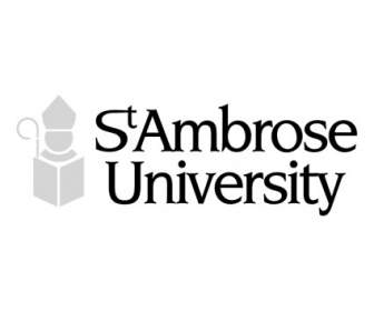 St Université D'ambrose