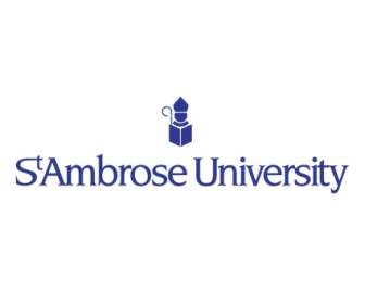 St Université D'ambrose