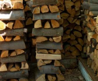 Stacked Wood Pile