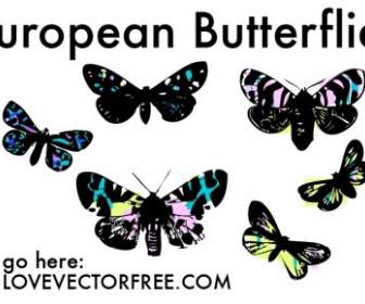 Stained Glass Butterflies By Lvf