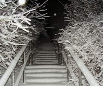 Stairs Covered In Snow