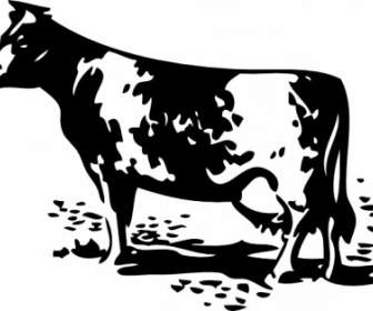 Standing Cow Clip Art
