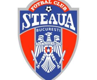 以后 Steaua 布加勒斯特