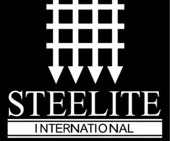 Steelite 国際