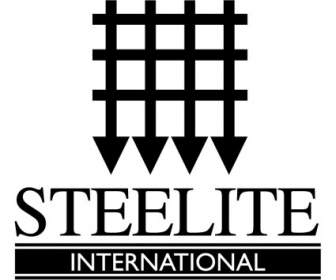 Steelite 국제