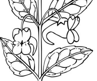 Stem With Flower Outline Clip Art