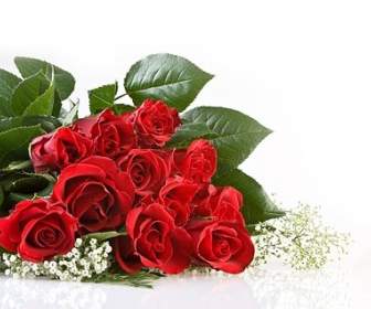 Stock Photo Bouquet Mawar Merah