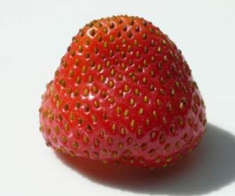 草莓果味红