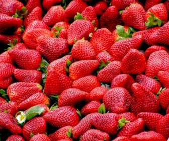 Strawberries Red Fruit