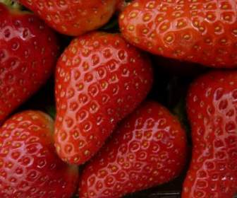 Strawberries Strawberry Berry