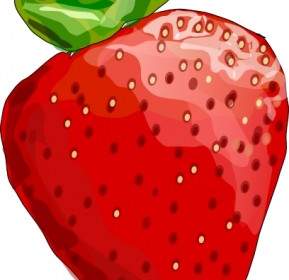 Erdbeere ClipArt