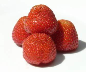 草莓果實甜