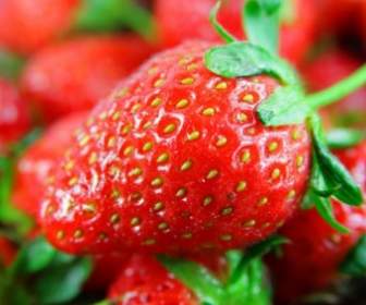 Strawberry Hd Picture