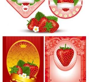 Strawberry Theme Vector