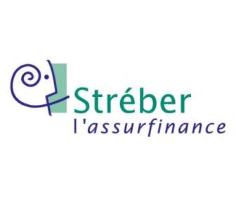 Lassurfinance Streber
