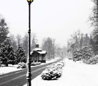 Street Lamp In Winter