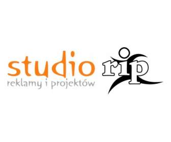 Studio Reklamy Saya Projektow Rip