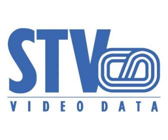 Stv 비디오 데이터
