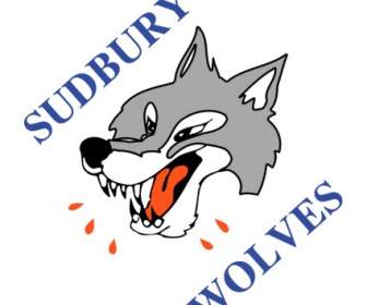 Wolves De Sudbury
