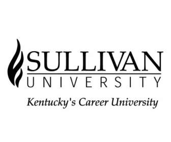 Université De Sullivan