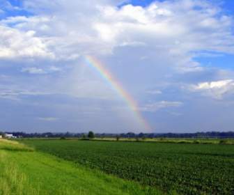 Summer Rainbow Over Open Field