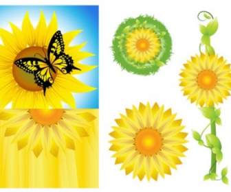 Sunflower Vektor