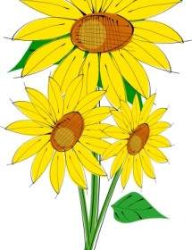 Sunflowers Clip Art