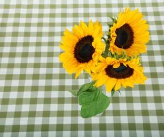 Sunflowers On Tablecloth