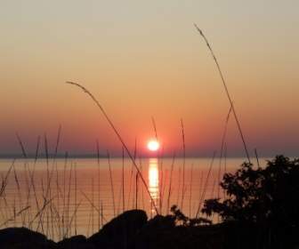 Восход солнца озеро трава