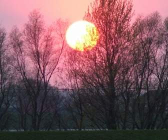 Zachód Słońca I Drzew
