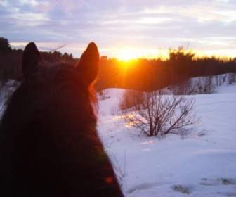 Sonnenuntergang Auf Dem Pferderücken