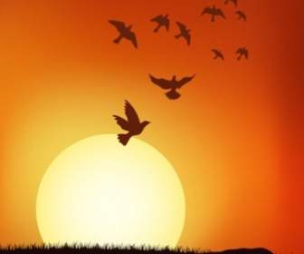 Matahari Terbenam Vektor Di Bawah Burung