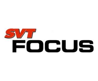 SVT-Fokus