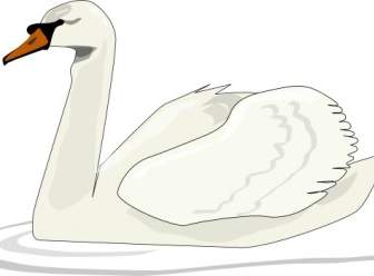 Swan Renang Clip Art