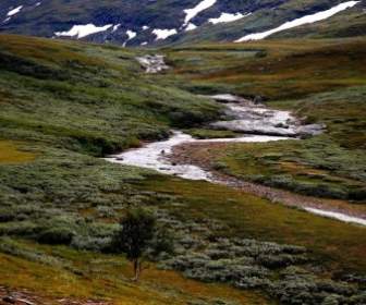 Sweden Landscape Stream