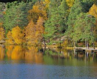 Lac De Fleuve De Suède