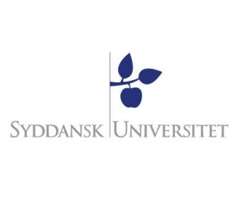 Syddansk 대학교
