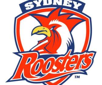 Roosters Sydney