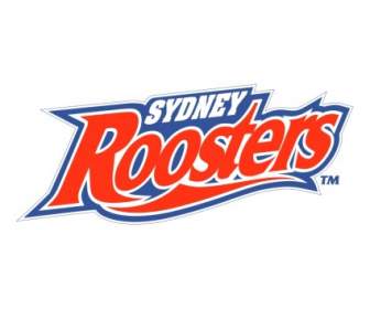 Roosters Sydney