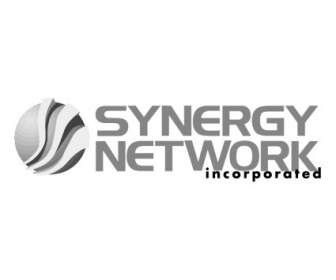 เครือข่าย Synergy