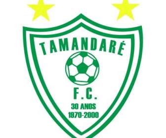 Tamandaré Futebol Clubesc