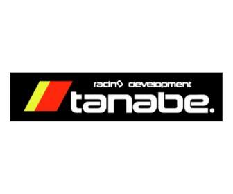 Desenvolvimento De Corrida Tanabe