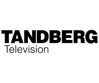 Tandberg 電視