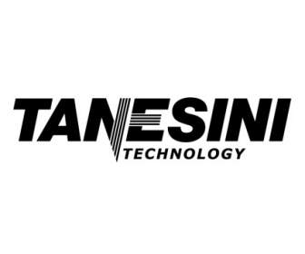 Tanesini Technology