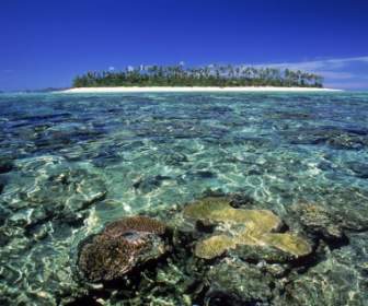 Mundo De La Islas Fiji De Fondos De La Isla Tavarau