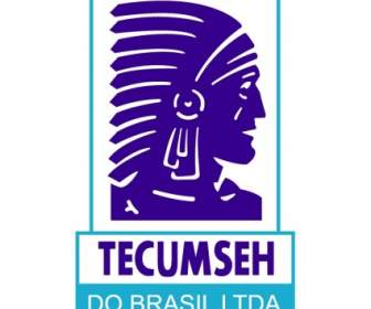 Tecumseh Do Brasil Ltda