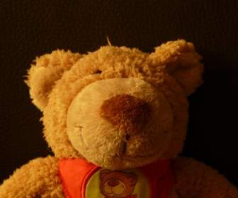 Teddy Bear Soft Fluffy