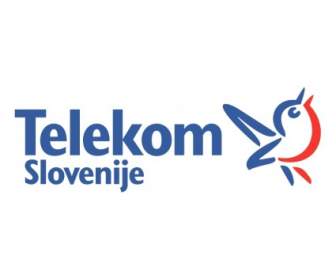 Telekom 公报