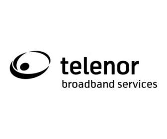 บริการบรอดแบนด์ผ่าน Telenor